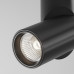 Потолочный светильник Maytoni Technical Dafne SLC027CL-L10B4K